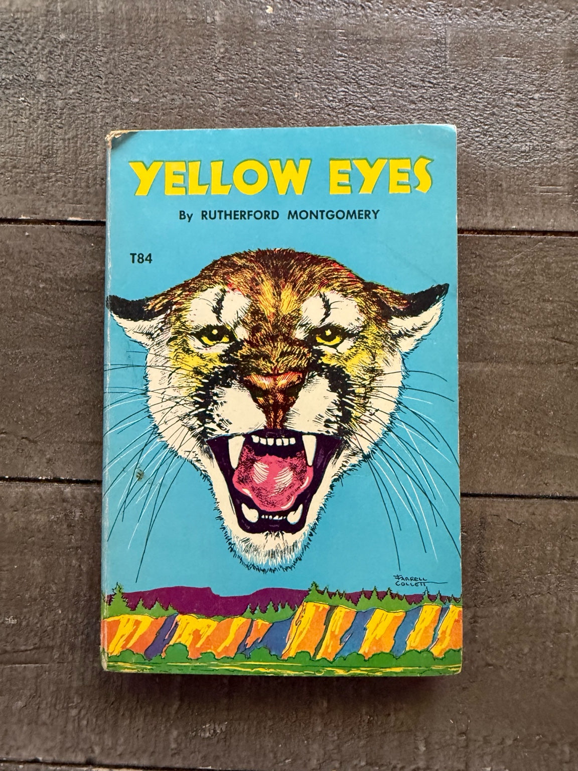Yellow Eyes by Rutherford Montgomery – Vintage TAB Book (Teen Age Book Club Edition)