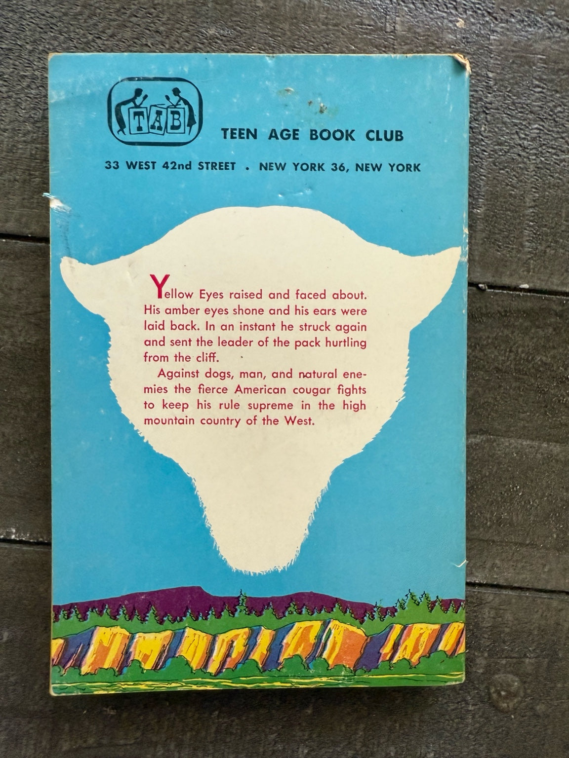 Yellow Eyes by Rutherford Montgomery – Vintage TAB Book (Teen Age Book Club Edition)
