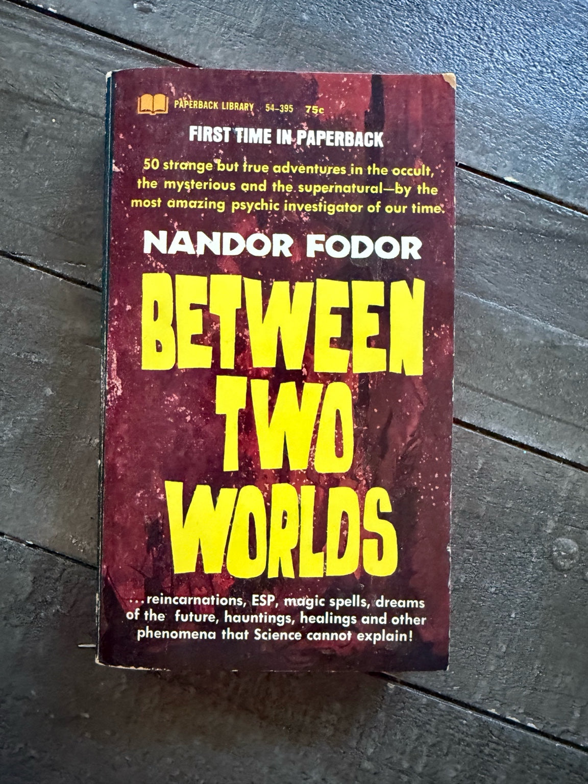 Between Two Worlds by Nandor Fodor | Vintage Occult Paperback | After Dark Collection