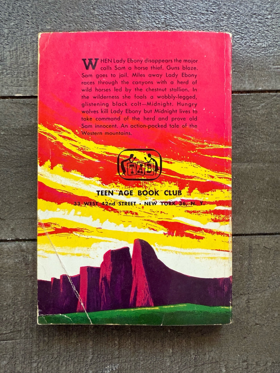 Midnight: Story of a Wild Horse