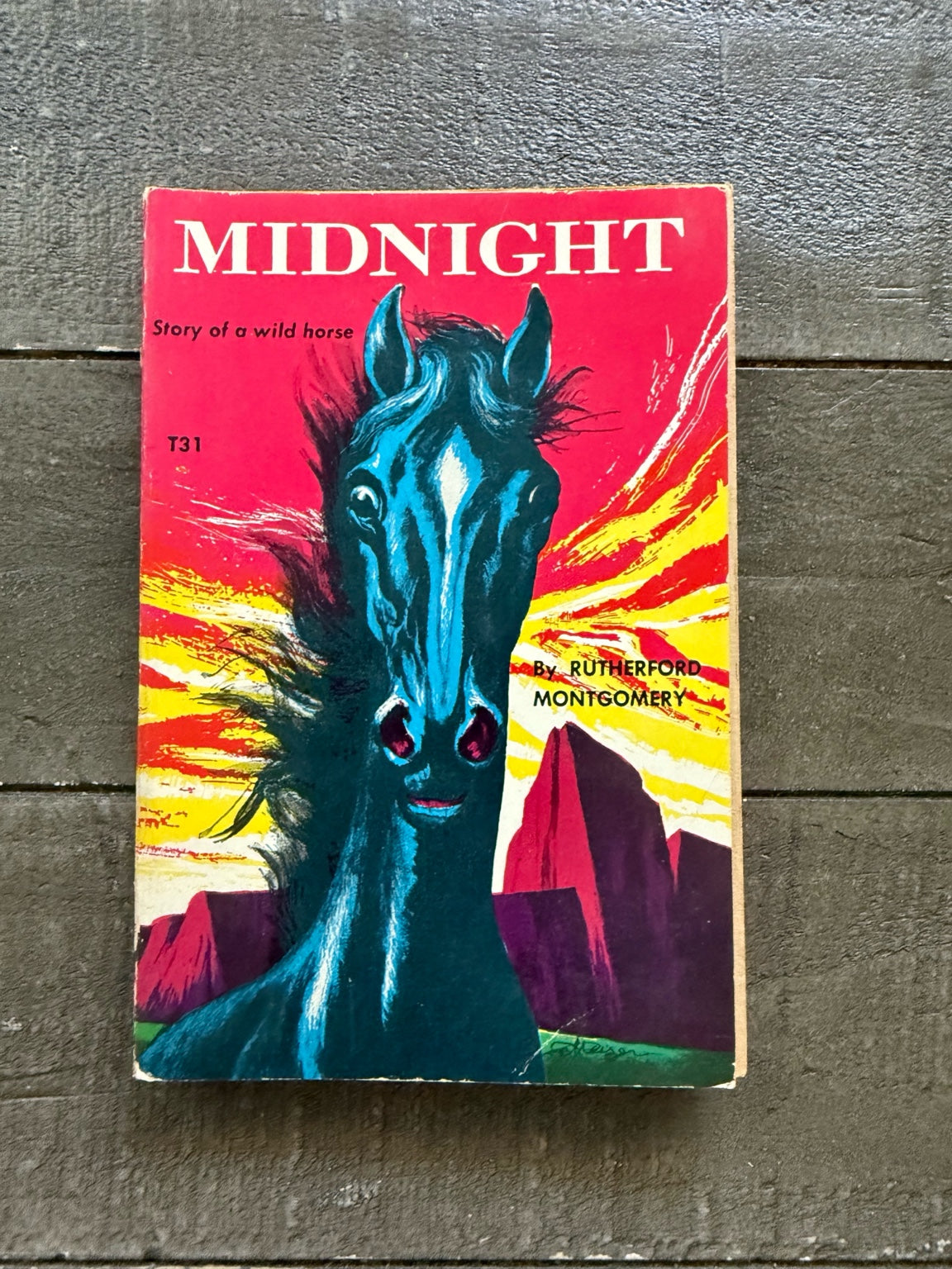 Midnight: Story of a Wild Horse
