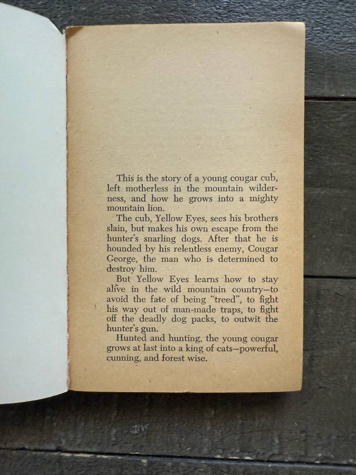 Yellow Eyes by Rutherford Montgomery – Vintage TAB Book (Teen Age Book Club Edition)